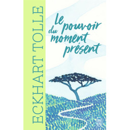 LE POUVOIR DU MOMENT PRESENT