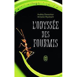 L-ODYSSEE DES FOURMIS