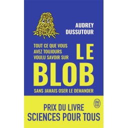 TOUT CE QUE VOUS AVEZ...