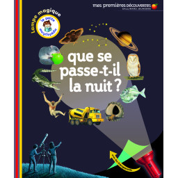 QUE SE PASSE-T-IL LA NUIT ?