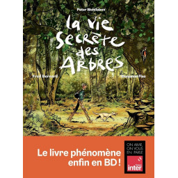 LA VIE SECRETE DES ARBRES...