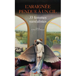 L'ARAIGNEE PENDUE A UN CIL...