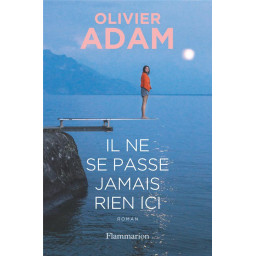 IL NE SE PASSE JAMAIS RIEN ICI