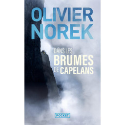 DANS LES BRUMES DE CAPELANS