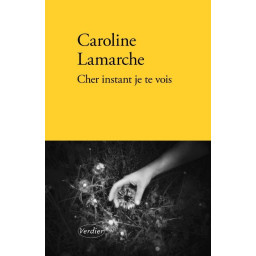 CHER INSTANT JE TE VOIS