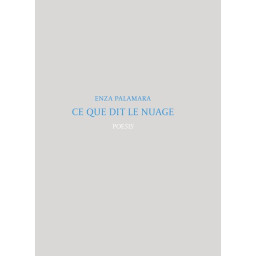 CE QUE DIT LE NUAGE