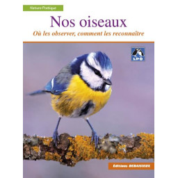 NOS OISEAUX - OU LES...