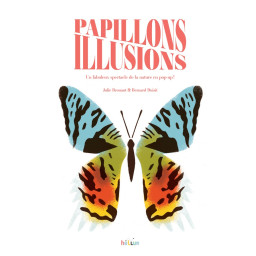 PAPILLONS ILLUSIONS