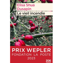 LE VIEIL INCENDIE