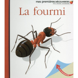 LA FOURMI
