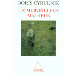 UN MERVEILLEUX MALHEUR