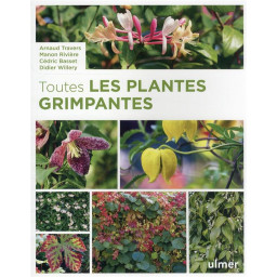 TOUTES LES PLANTES GRIMPANTES