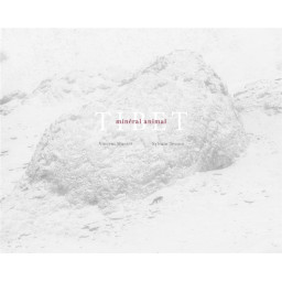 TIBET  -  MINERAL ANIMAL