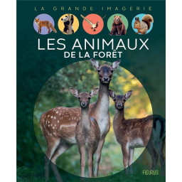 LES ANIMAUX DE LA FORET
