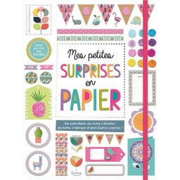MES PETITES SURPRISES EN...