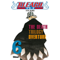 BLEACH - TOME 06 - THE...