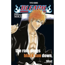 BLEACH : SOUL  -  THE RAIN...
