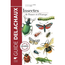 INSECTES DE FRANCE ET D'EUROPE