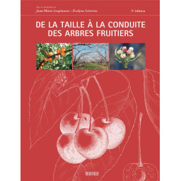 DE LA TAILLE A LA CONDUITE...