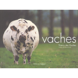 VACHES