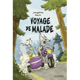 VOYAGE DE MALADE