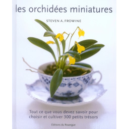 LES ORCHIDEES MINIATURES