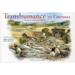 TRANSHUMANCE EN CEVENNES