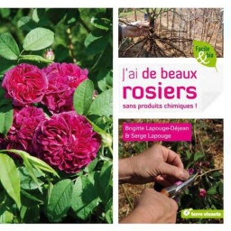 J'AI DE BEAUX ROSIERS SANS...