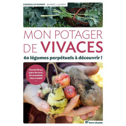 MON POTAGER DE VIVACES  -...