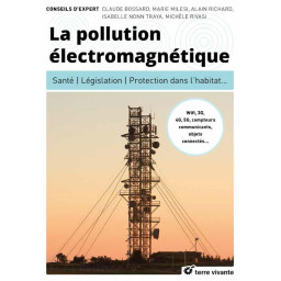 LA POLLUTION ELECTROMAGNETIQUE