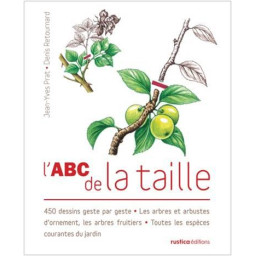 PACK ABC DE LA TAILLE AVEC...