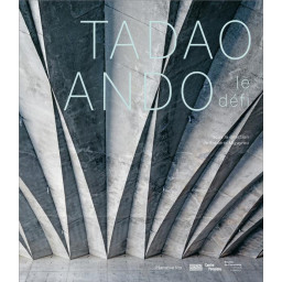 TADAO ANDO : LE DEFI