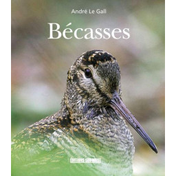 BECASSES
