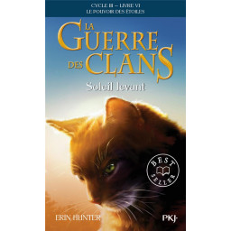LA GUERRE DES CLANS CYCLE III 