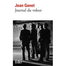 JOURNAL DU VOLEUR
