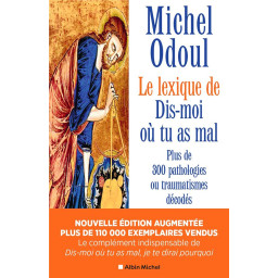 LE LEXIQUE DE DIS-MOI OU TU...