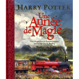 HARRY POTTER - UNE ANNEE DE...