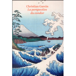 LA PERSPECTIVE DU CONDOR