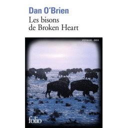 LES BISONS DE BROKEN HEART