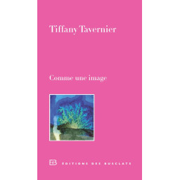 COMME UNE IMAGE