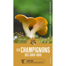 EN BALADE - LES CHAMPIGNONS...
