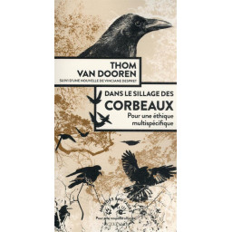 DANS LE SILLAGE DES...