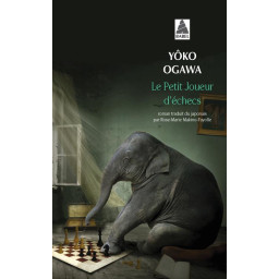 LE PETIT JOUEUR D'ECHECS