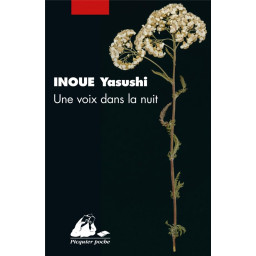 UNE VOIX DANS LA NUIT