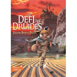 LE DEFI DES DRUIDES