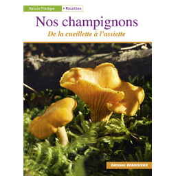 NOS CHAMPIGNONS  -  DE LA...