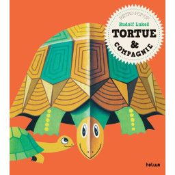 TORTUE & COMPAGNIE.