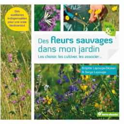 FLEURS SAUVAGES DANS MON JARDI