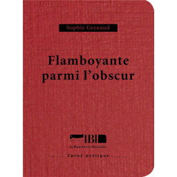 FLAMBOYANTE PARMI L-OBSCUR
