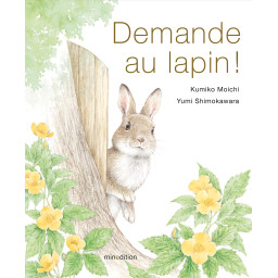 DEMANDE AU LAPIN !